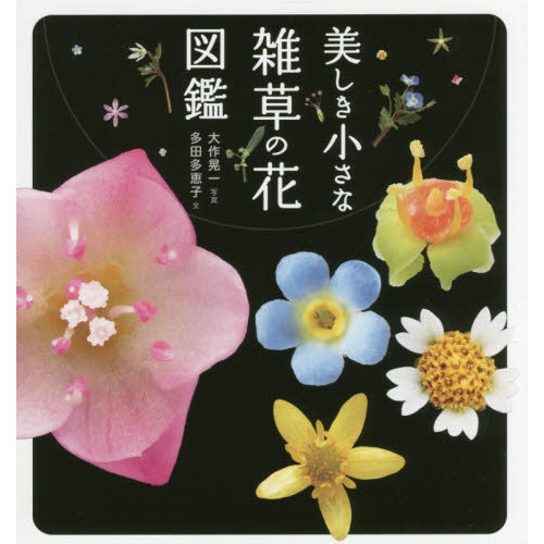 美しき小さな雑草の花図鑑 多田多恵子／文　大作晃一／写真の商品画像