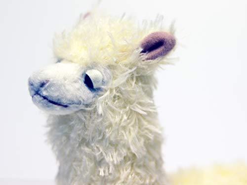 ri.. .. moreover, . alpaca 