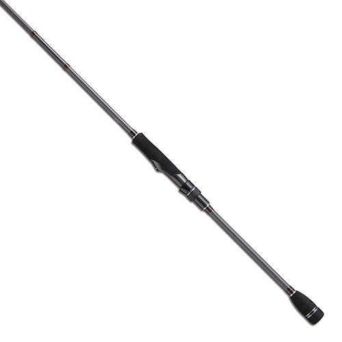 tailwalk ソルティシェイプダッシュ Lエギング 81ML 釣り エギング