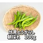 [.. нет ] утро .. Ibaraki префектура производство . видеть перец стручковый 100g обычная температура . почтовая отправка единый по всей стране бесплатная доставка (. длина перец стручковый )