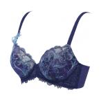 レッドレーベル バイ トリンプ0105 ブラジャー Cカップ