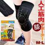 人工筋肉膝サポーター ネクスト