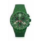 PRIMARILY GREEN[ внутренний стандартный товар ]SUSG407