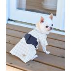 [DOG] в клетку юката 