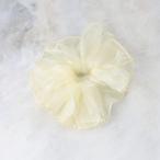 シアービッグシュシュ