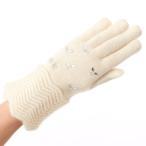 アナ スイ ニット手袋