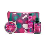 [ ограниченное количество ] Hori te-shuga- слива passion Mini подарок 