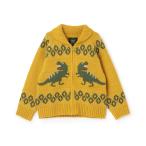 恐竜 カウチンセーター