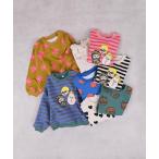 ソウガラトレーナー