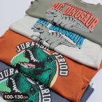 恐竜柄 裾フェイクレイヤード 裏毛トレーナー