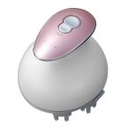 ミーゼ ヘッドスパリ