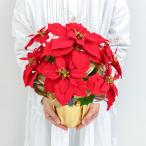  искусственный цветок аранжировка pot (po in se Cheer / красный ) высота 38cm / Рождество оборудование орнамент аранжировка цветов стол посадочная машина интерьер цветок поддельный 