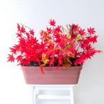  искусственный цветок посадочная машина цветок посадочная машина искусственная зелень патинко магазин строительная площадка осень оборудование орнамент /PF820-LB искусственный цветок посадочная машина ( клен * клен ):Ap