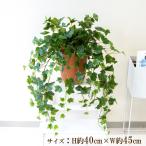  искусственный цветок искусственная зелень pot искусственная листва посадочная машина цветок дисплей через год [PU011-APOTLB искусственный цветок посадочная машина pot ( крыло lishu ivy )]