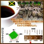 コーヒー豆 ジャマイカ産 ブルーマウンテン No.1 100g ブルマン 中煎 ミディアム ドリップコーヒー 珈琲豆 10杯分 珈琲