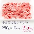 送料無料 国産豚 小間切れ  2.5kg（250g×10パック小分け）