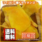 ドライマンゴー(フィリピン産)500g【送料無料】