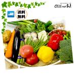 新鮮 野菜セット【新鮮野菜と果物が12品以上】  九州産 中心の 野菜詰め合わせ　野菜 野菜セット