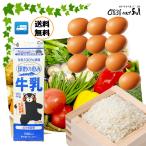 ショッピング詰め合わせ 選べる【野菜とお米・乳製品・卵セット】野菜と果物は12品以上 ヨーグルト 牛乳 卵 お米 九州 野菜詰め合わせ