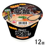 12個／ サンポー食品 火の国文龍監