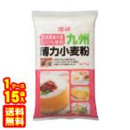 理研農産化工 九州薄力小麦粉 1kg×15袋入 ／食品