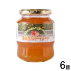  Yamaguchi сельское хозяйство . прямые продажи Hagi. лето мандарин ma-mare-do бутылка 390g×6 шт Япония плоды промышленность 