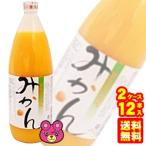 ショッピングジュース 国産 ストレート みかんジュース 瓶 1L×6本入×2ケース：合計12本 1000ml 無添加 日本果実工業 ／飲料