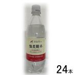 リテールパートナーズ 強炭酸水 PET 500ml×24本 ／NA