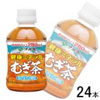 1ケース／ 伊藤園 健康