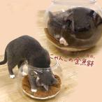 キャティーマン にゃんこの金魚鉢 猫 にゃんこの金魚鉢 猫 猫 金魚鉢子猫用金魚鉢 透明アクリル製猫保護カバー 水槽が見えるので猫を観察できます