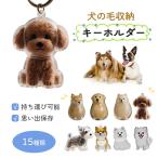 1点最安775円・2点購入で 猫毛メモリアルカプセルキーホルダー 猫の毛収納ボトル 猫型お土産ボトルボックス 猫と犬の毛を集めるための猫の毛ストレージカプセル