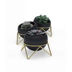 ポージー プランター 3個セット ブラック×ゴールド umbra アンブラ Potsy Planter 3pcs Set Black X G