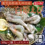 白姫えび 500g 2個セット 鹿児島県産 お取り寄せグルメ 海老 バナメイ 国産 えび 刺身 ニッスイエビ 海鮮