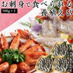 エビ 海鮮白姫えび 500g 3個セット 鹿