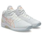 asics/ Asics гель обруч V17 стандартный (1063A096-104)