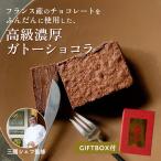 ギフトBOX付※ 三國シェフ監修 ガトーショコラ(218g)(送料無料)MAISON MIKUNI フォンダンショコラ(冷凍便)プレゼント
