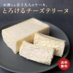 ※ご自宅用※ テリーヌ(チーズテリーヌ プレーン)(約380g)(送料無料)冷凍ケーキ なめらか とろける 口溶け(冷凍便)