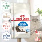 【お得な2個セット】ロイヤルカナン インドア ロングヘアー 4kg / 室内で生活する長毛の成猫用(生後12ヵ月齢から7歳まで) / ジッパー有り 爆買