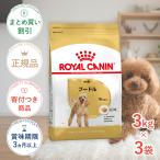 【お得な3個セット】ロイヤルカナン プードル 成犬用 3kg / プードル成犬用(生後10ヵ月齢以上) / ドライフード ジッパー有り 爆買