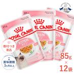 ロイヤルカナン キトン グレービー ゼリー ローフ 85g×12袋 12ヵ月齢までの子猫用 生後12ヵ月齢まで[正規品]