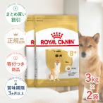 【お得な2個セット】ロイヤルカナン 柴犬 中・高齢犬用 3kg / 柴犬 中・高齢犬用(8歳以上) / ドライフード ジッパー有り 爆買
