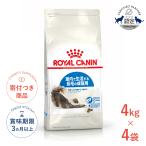 【お得な4個セット】ロイヤルカナン インドア ロングヘアー 4kg / 室内で生活する長毛の成猫用（生後12ヵ月齢から7歳まで） / ジッパー有り