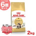 【お得な6個セット】ロイヤルカナン メインクーン 成猫用 2kg / メインクーン 成猫用（生後15ヵ月齢から12歳まで） / ドライフード ジッパー有り