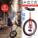 一輪車 16インチ 18インチ 20インチ 24インチ スタンド付 ユニサイクル 組み立て式 競技用 大人用 子供用 スポーツ バランス感覚・体幹を鍛