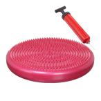 バランスディスク HATAS（専用ポンプ付き）