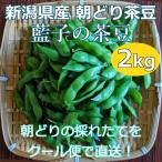 枝豆 新潟県産 茶豆 朝採り 2kg 藍子の茶豆 生 朝どり クール便 送料無料 十日町市 藍ちゃんファーム