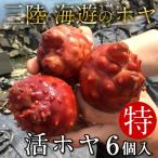 活ほや（活海鞘・活ホヤ） 雄勝湾産［特大］6個 5年物 三陸宮城県産 石巻漁師直送 生ほや 天然ほや バーベキュー BBQ