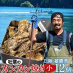 カキ バーベキュー用冷凍牡蠣［小］12個入 カンカン焼きセット 殻付き 加熱用 三陸 宮城県産 バーベキュー ガンガン焼き［海鮮ギフト］