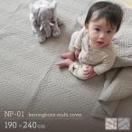 マルチカバー 190×240cm エラーレ イブル NP-01 ベッドカバー ソファカバー ラグ 洗える