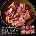 焼肉 セット 食べ比べ 老舗和牛専門卸厳選 黒毛和牛 A5等級 焼肉 6種盛 480g サーロイン ヘレ フィレ カイノミ カルビ バラ ギフト 送料無料